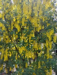 35ec2d876d7759a121e7266424537844-e1684315159354